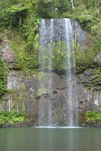 Горный водопад в лесной чаще
